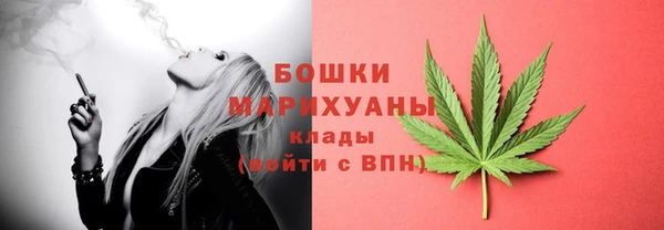 каннабис Новозыбков