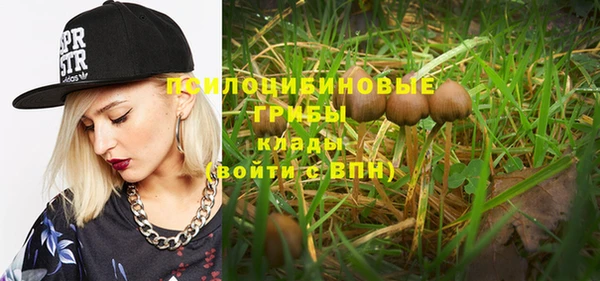 мдпв Грязовец