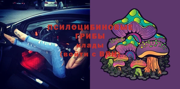 a pvp Новодвинск