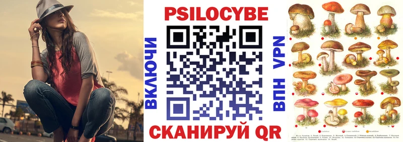 Галлюциногенные грибы Psilocybe  Онега 